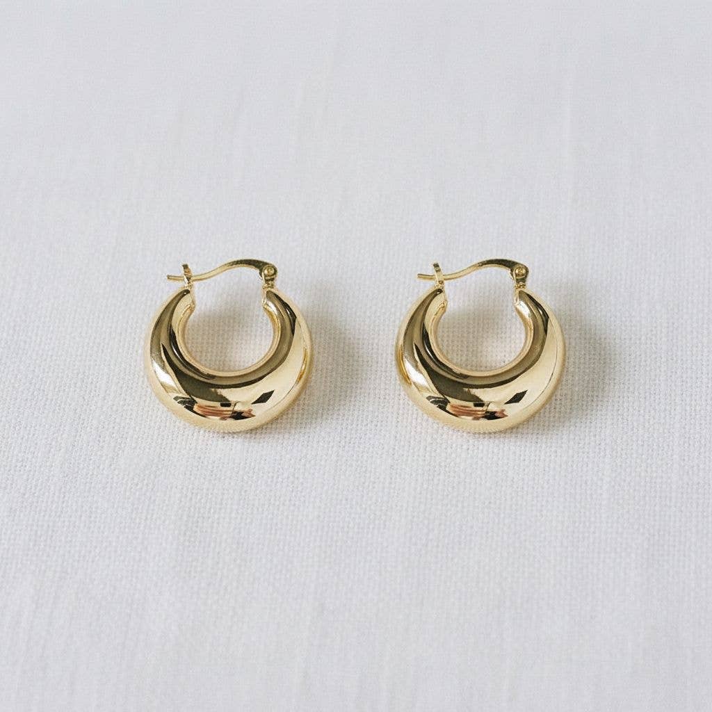 Gold Tone Hoop Earrings