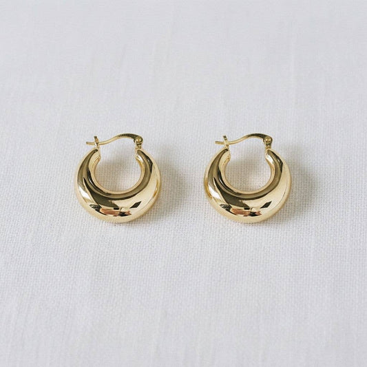 Gold Tone Hoop Earrings